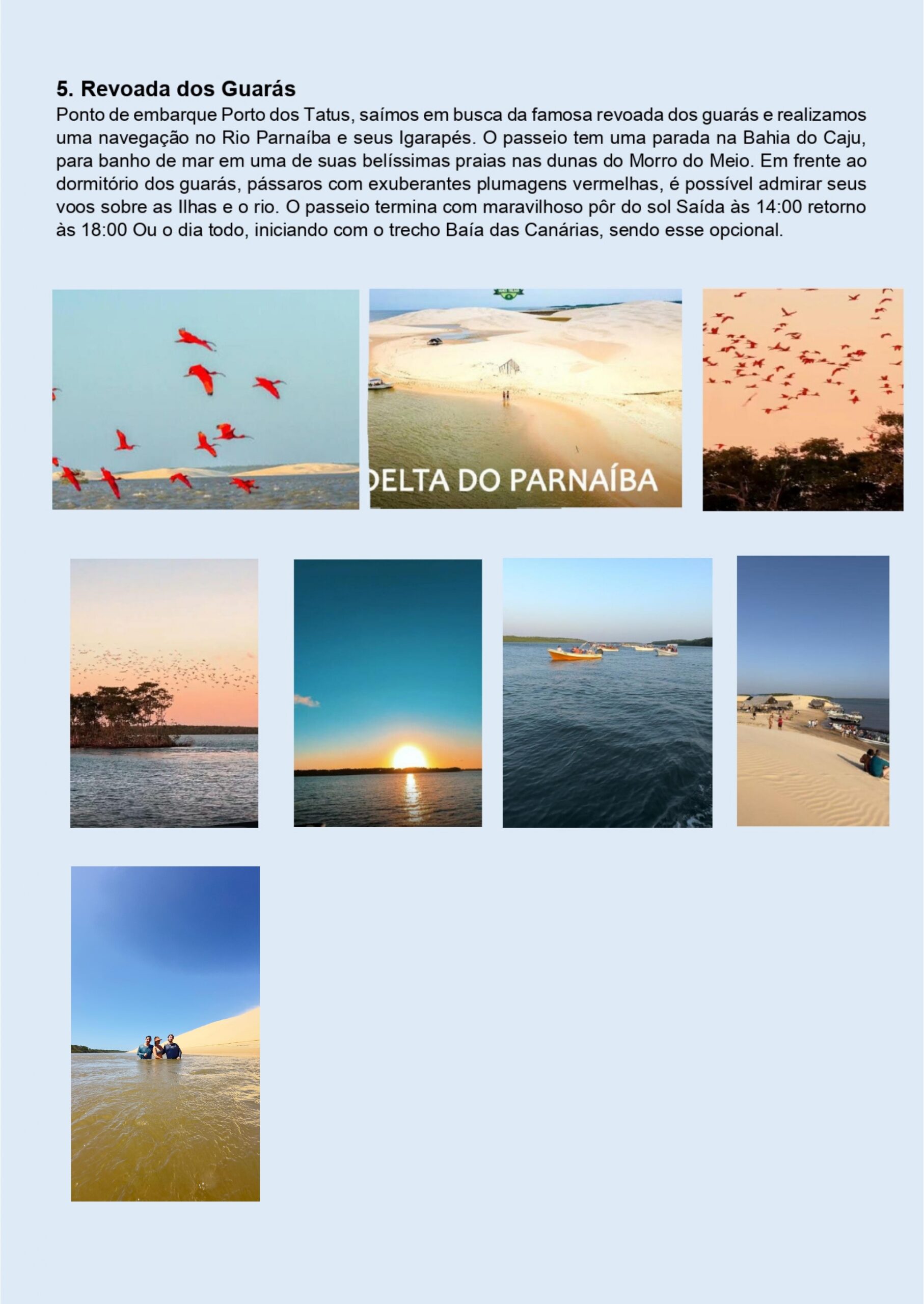 revoada-dos-guaras-2_page-0001